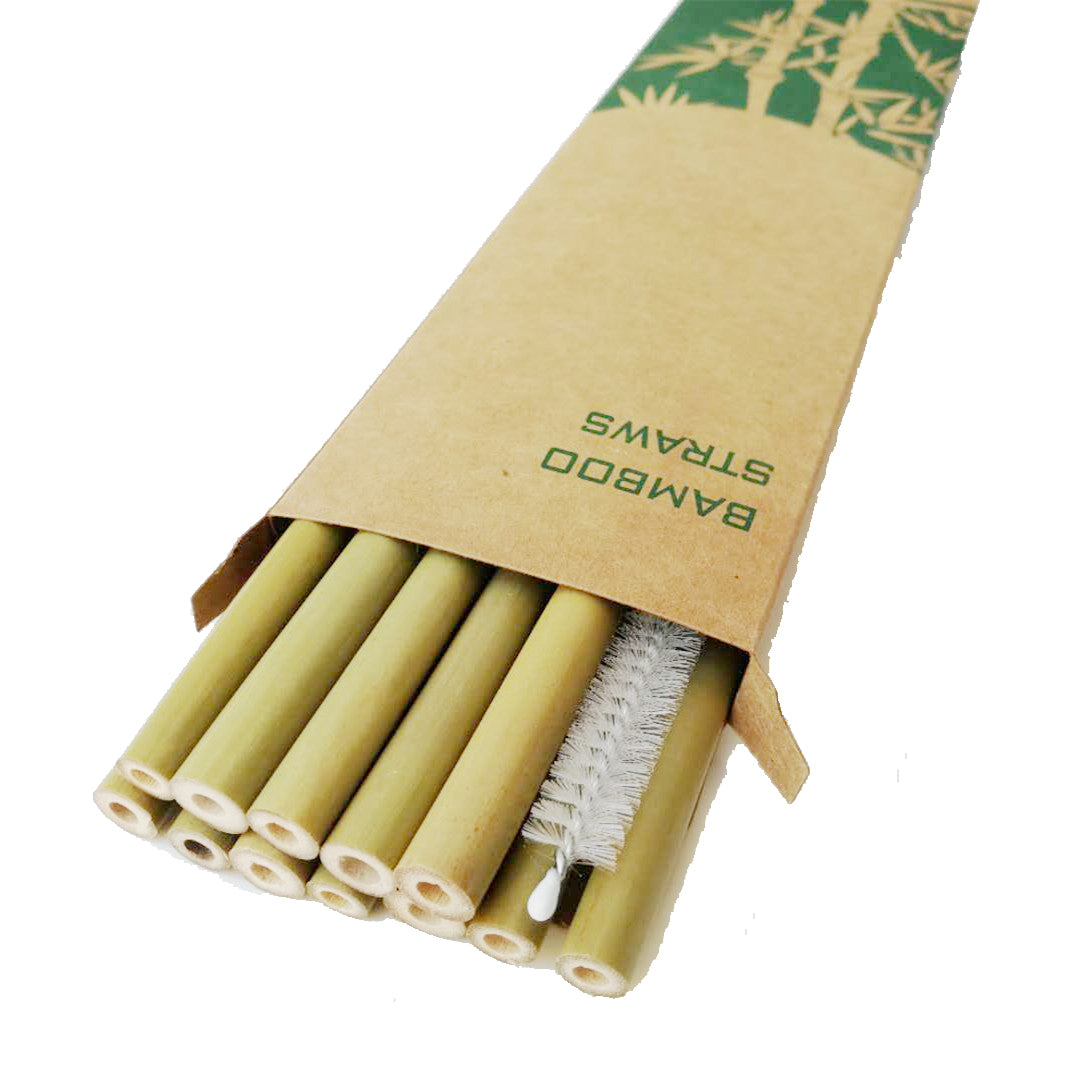 Bamboo straws - set of 12